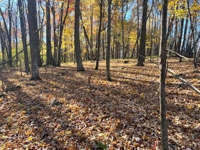 /international/us/32-18-acres-monarch-avenue-kendall-wi-110103250730/