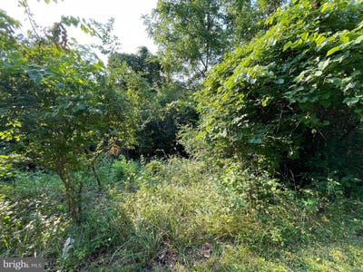 /international/us/54-tupelo-road-springfield-wv-110090427090/?lang=zh-tw