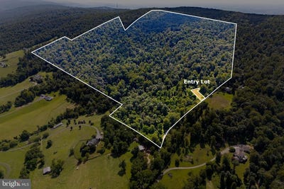 /international/us/tree-crops-lane-round-hill-va-110101029217/?lang=zh-tw