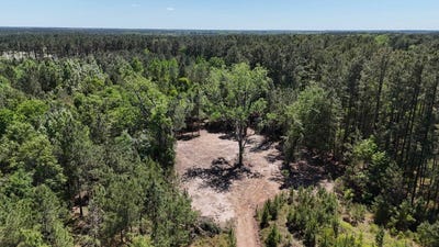 /international/us/tbd-lento-road-varnville-sc-110107501806/