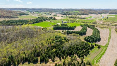 /international/us/0-steinke-road-mondovi-wi-110100317436/?lang=zh-tw