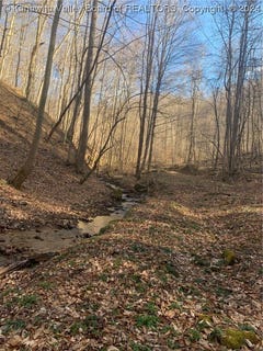 /international/us/buckeye-creek-road-sutton-wv-110090550814/