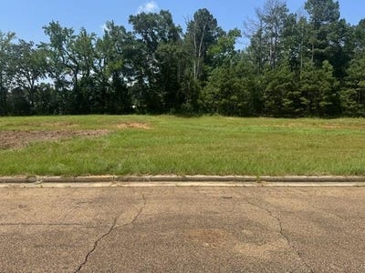 /international/us/lot-3-business-center-drive-mccomb-ms-110079608181/