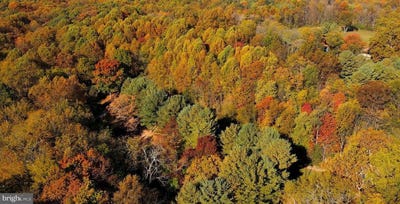 /international/us/buildable-preserv-parcel-ten-oaks-road-dayton-md-110119756728/