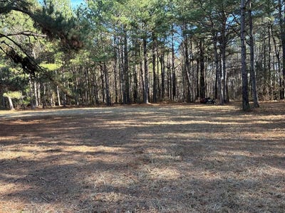 /international/us/2018-brewington-road-manning-sc-110097489789/