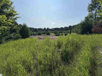 /international/us/lot-6-e-bellinger-road-cedar-mi-110100835035/?lang=zh-tw