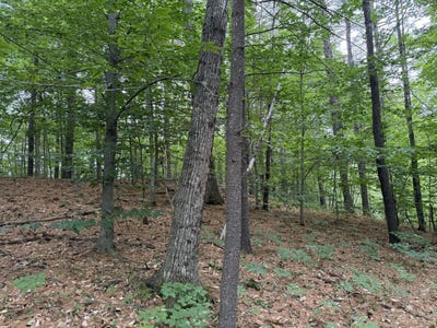 /international/us/643-mt-pisgah-road-winthrop-me-110100940653/?lang=zh-cn