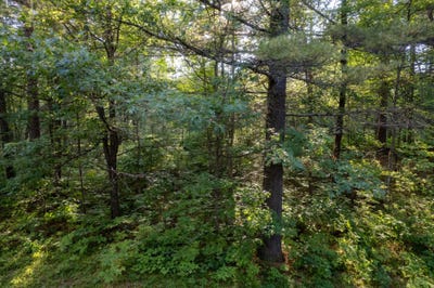 /international/us/lot-15-dads-lake-rd-eagle-river-wi-110100622659/?lang=zh-tw