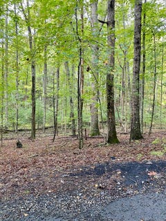 /international/us/35-meridian-lane-hillsville-va-110089239004/?lang=zh-tw
