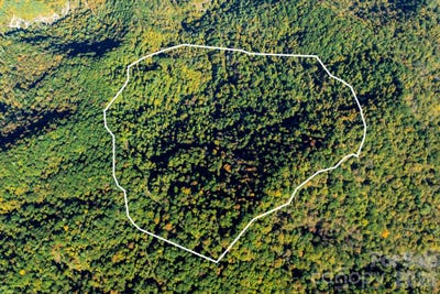 /international/us/big-laurel-road-marshall-nc-110120635654/