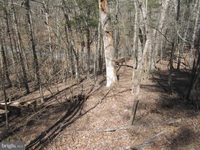 /international/us/180-spruce-lane-mount-jackson-va-110097927875/