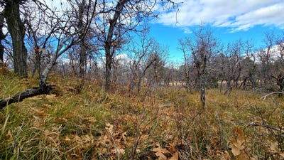 /international/us/138-e-oak-ridge-drive-mount-pleasant-ut-110103719292/