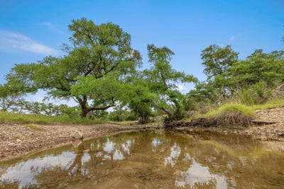 /international/us/65-miles-lane-harper-tx-110099962189/