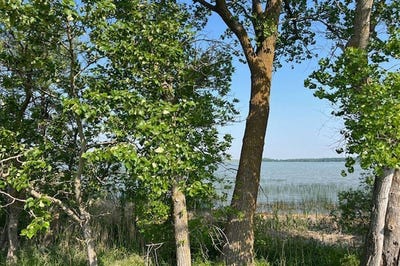 /international/us/35222-240th-ave-se-erskine-mn-110101240262/?lang=zh-cn