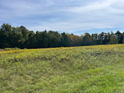 /international/us/regan-rd-norwood-ny-110107519960/