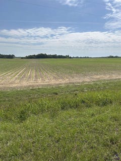 /international/us/royal-road-unadilla-ga-110108020420/
