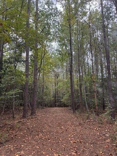 /international/us/3829-standing-pine-lane-zebulon-nc-110120152596/