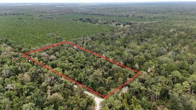 /international/us/piper-place-live-oak-fl-110110368420/