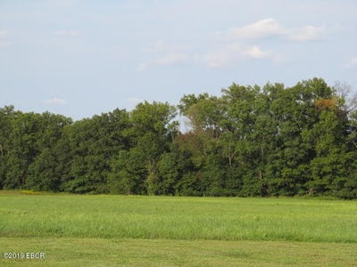 /international/us/0000-jefferson-fields-mt-vernon-il-110092835178/?lang=zh-tw
