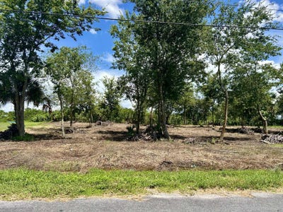 /international/us/lot-16-foxmoor-street-moore-haven-fl-110101491818/?lang=en