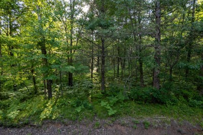 /international/us/lot-14-dads-lake-rd-eagle-river-wi-110100621336/?lang=zh-tw