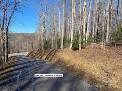 /international/us/dragonfly-court-lot-3-spruce-pine-nc-110096303359/?lang=de