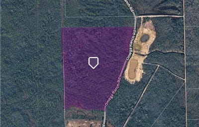 /international/us/1135-omega-ranch-road-new-smyrna-beach-fl-110108533838/