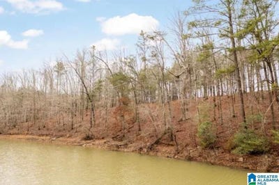 /international/us/shoreside-drive-lot-53-double-springs-al-110101953267/