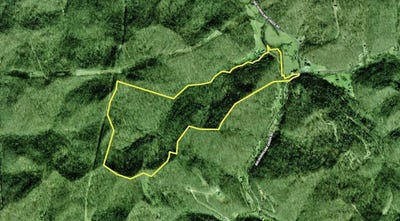 /international/us/3480-big-hurricane-creek-road-fort-gay-wv-110108220794/