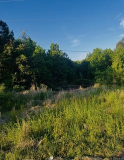 /international/us/parkwood-lot-4-monticello-ar-110108548602/