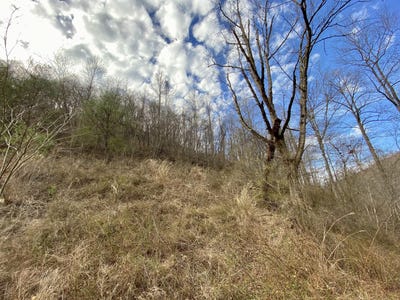 /international/us/1344-potato-branch-road-topmost-ky-110084591838/
