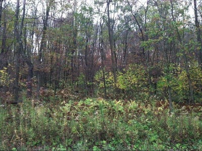 /international/us/75-shelby-lane-shippenville-pa-110035240535/