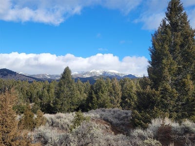 /international/us/tbd-parcels-3a-bivens-creek-ridge-road-sheridan-mt-110095489095/