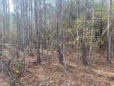 /international/us/0-adams-reeves-road-dearing-ga-110088876661/?lang=es