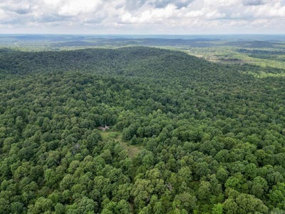 /international/us/52-summerfield-creek-crossroad-williford-ar-110108983030/
