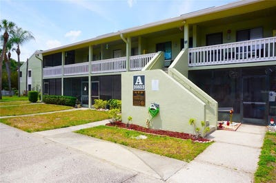 /international/us/20853-haulover-cove-lutz-fl-110109613445/