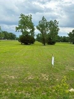 /international/us/scuba-court-lot-2269-gallatin-mo-110108093707/
