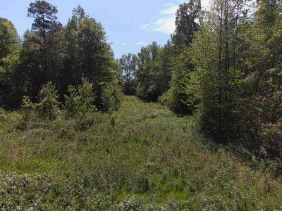 /international/us/10-acres-off-turner-road-rose-bud-ar-110106331000/