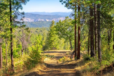 /international/us/tbd-wagner-ridge-road-coulterville-ca-110103046707/