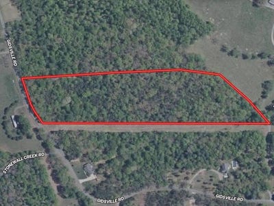 /international/us/lot-2b-gidsville-road-amherst-va-110100689989/