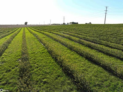 /international/us/6050-duffy-road-fairbank-ia-110108124511/