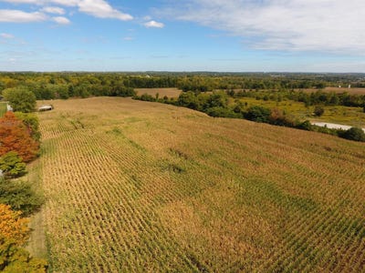 /international/us/st-rt-63-turtle-creek-twp-oh-110077699724/
