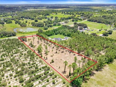 /international/us/s-dewey-robbins-road-howey-in-the-hills-fl-110101679830/