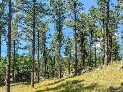 /international/us/tract-campfire-three-meadows-road-keystone-sd-110103317130/
