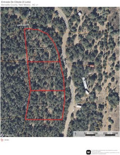 /international/us/1-85-81-entrada-de-cibola-tijeras-nm-110106477802/