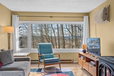 /international/us/220-mountainside-drive-stowe-vt-110106564720/
