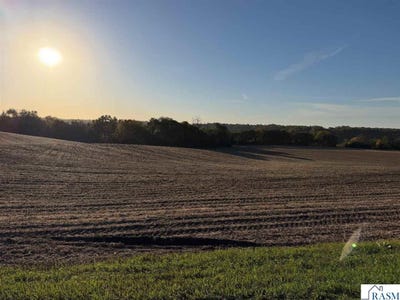 /international/us/225th-street-new-ulm-mn-110120417443/