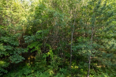 /international/us/lot-3-dads-lake-rd-eagle-river-wi-110100619773/?lang=zh-tw