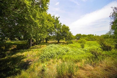 /international/us/29-47-acres-ballard-road-jacksboro-tx-110103754124/