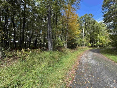 /international/us/dogwood-lane-lot-5-and-6-terra-alta-wv-110102582672/